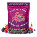 Wild Berry Odyssey 10 Count Gummies